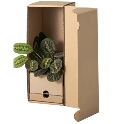 plant shipping boxes