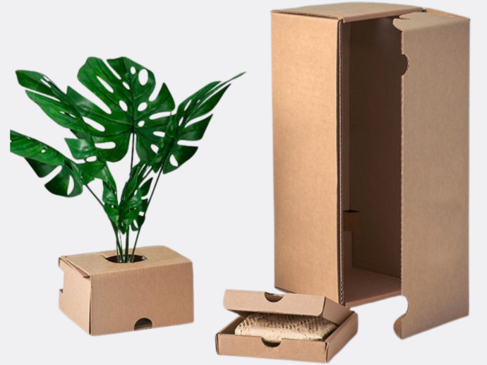 plant shipping box