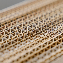 Step 4: Cardboard Thickness Step 4: Cardboard Thickness